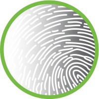 Light Touch PLD logo - Similar company to Studio N