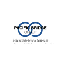 Pacific Bridge Group logo - Similar company to Bri Partners Llc
