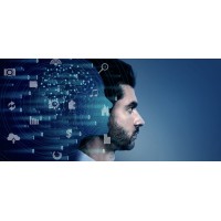 Byte-Sized Insight logo - Similar company to Consumer Pulse Analytics Research
