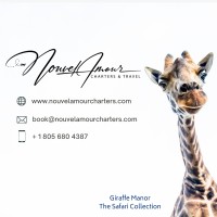 Nouvel Amour - Charters & Travel logo - Similar company to Erredue Jewels