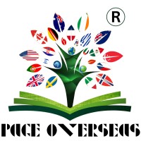 Page Overseas logo - Similar company to Indusdyuthi Solutions