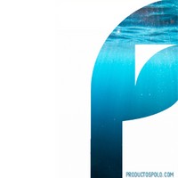 Productos Polo logo - Similar company to Human Century