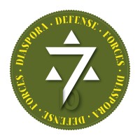 DDF - Diaspora Defense Forces logo - Similar company to Ddforce