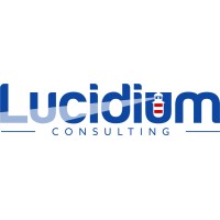 Lucidium Consulting logo - Similar company to Lucidium