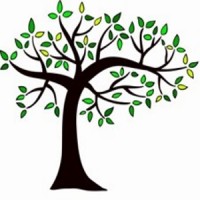 Tembusu Training and Therapy logo - Similar company to Brief Academy