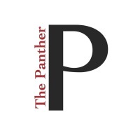 The Panther logo - Similar company to Upstart Group