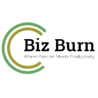 BIZ BURN MANAGEMENT SERVICES PRIVATE LIMITED logo - Similar company to Digimaveric Technologies