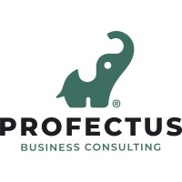 Profectus Business Consulting logo - Similar company to Bridges Bookkeeping