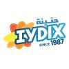 Iydix logo - Similar company to Honieneh Group