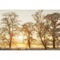 Holly Gregory Associates Limited logo - Similar company to Steadfast Corporate Services