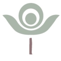 The New Amsterdam School
