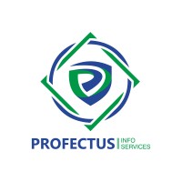 Profectus Info Services Private Limited logo - Similar company to Blueneer Technology