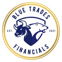 BlueTradesFinancials logo - Similar company to Risco Invert