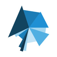 Blue Rose Research logo - Similar company to Civis Analytics