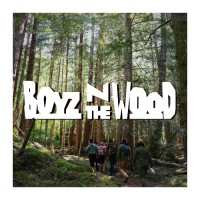 Boyz N The Wood logo - Similar company to Bioartbot