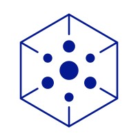 Intelvise logo - Similar company to Cozumtek Information Technologies