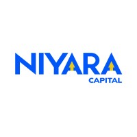 Niyara Capital Solutions Pvt Ltd logo - Similar company to Dfcs Srl