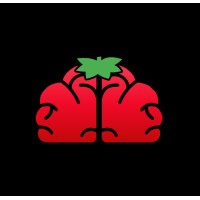 Witsberry logo - Similar company to Amirda Social Enterprise