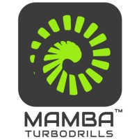 Mamba®Turbodrilling Services logo - Similar company to Dts - Diamond Tech & Services