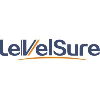 ZHUHAI LEVELSURE Technology CO.,LTD logo - Similar company to Powerflow Control Co.,Ltd