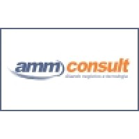 Amm Consult