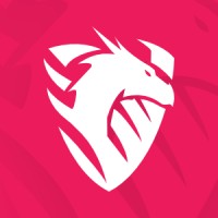 Pendragon Protect logo - Similar company to Puk Gaming