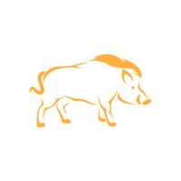 Golden Boar Solutions logo - Similar company to Hybrid Tech Solutions Ltd.