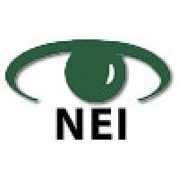 Northeastern Eye Institute