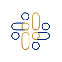 Varion Advisors Analytics (VAA) logo - Similar company to Iconicsoft Technologies