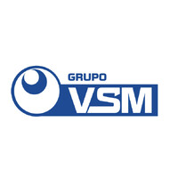 Grupo VSM logo - Similar company to Grupo Del Valle
