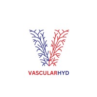 Vascularhyd logo - Similar company to One Stop Vascular Solutions