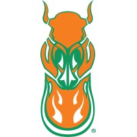 Cosaint Cyber LLC