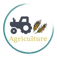 Aucune/None logo - Similar company to Aucune/None