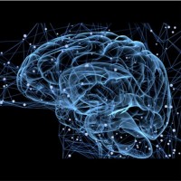 NeuroAI, AGI & Deep Learning logo - Similar company to Nsf Ai Institute For Artificial And Natural Intelligence (Arni)