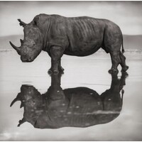 E la Nave Va logo - Similar company to Le Romandie