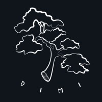 DIMI Jeans logo - Similar company to Ballpark Studios