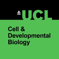 UCL Research Department of Cell & Developmental Biology logo - Similar company to Beyondcancer