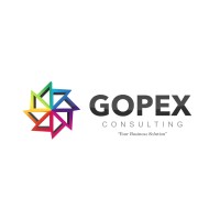 GOPEX Consulting logo - Similar company to Gopex