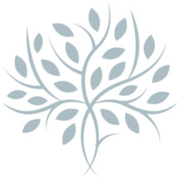 Novo Behavioral Health logo - Similar company to Novo Behavioral Services Llc