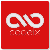 Codeix logo - Similar company to Dharanastudy