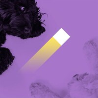 Pixelgrade logo - Similar company to Researchcave Technology