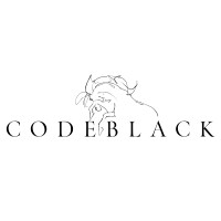 CodeBlack logo - Similar company to Zodel