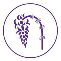 Transylvania Food Company Srl