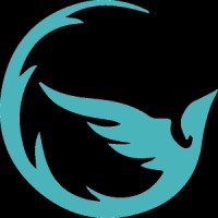 Phoenix Dynamic Technologies