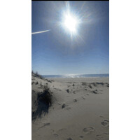 Bloom of Serenity logo - Similar company to Cambrian Capital Management, Llc