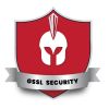 Spartan Securiy