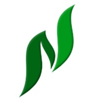Neo Strive LLC logo - Similar company to Tni Digital Solutions