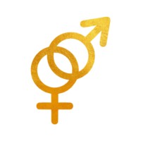 The Gender Initiative logo - Similar company to L Squared