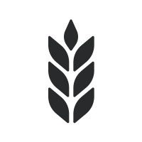 Rye Labs logo - Similar company to Engineered Software
