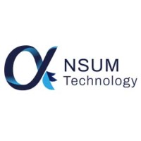 Ansum Technologies logo - Similar company to Epimax Solutions